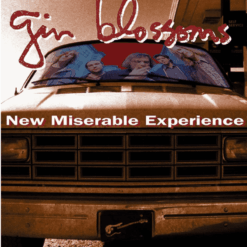 GIN BLOSSOMS "New Miserable Experience"