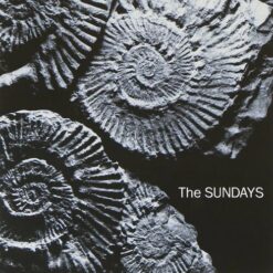 THE SUNDAYS "Reading, Writing and Arithmetic"
