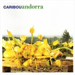 CARIBOU "Andorra"