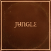 JUNGLE "Sunshine"