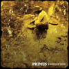 PRIMUS "A Handful of Nuggs"