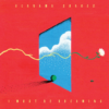 ALABAMA SHAKES "I Must Be Dreaming"