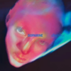 FONTAINES DC "Dopamine Chamber"