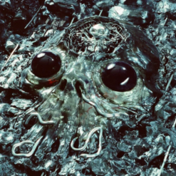 KING GIZZARD & THE LIZARD WIZARD "Alien Metal"