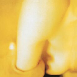 THE SMASHING PUMPKINS "Pisces Iscariot"