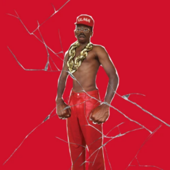 TYLER, THE CREATOR "Don't Tap The Glass"