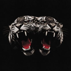 ROYAL BLOOD "Dead Company"